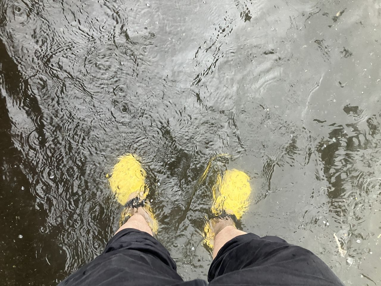 思ったより冠水してます